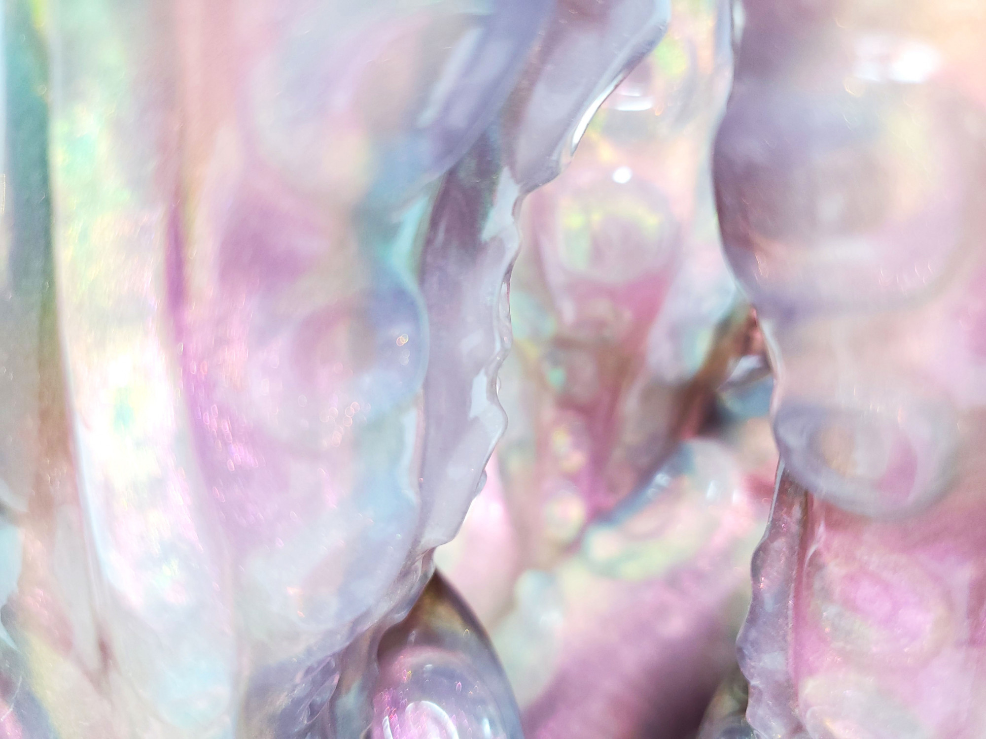 Unleash Your Wildest Fantasies