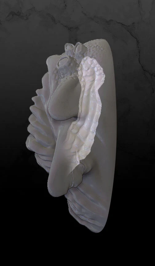 ISONADE (Lockered) - Image 4