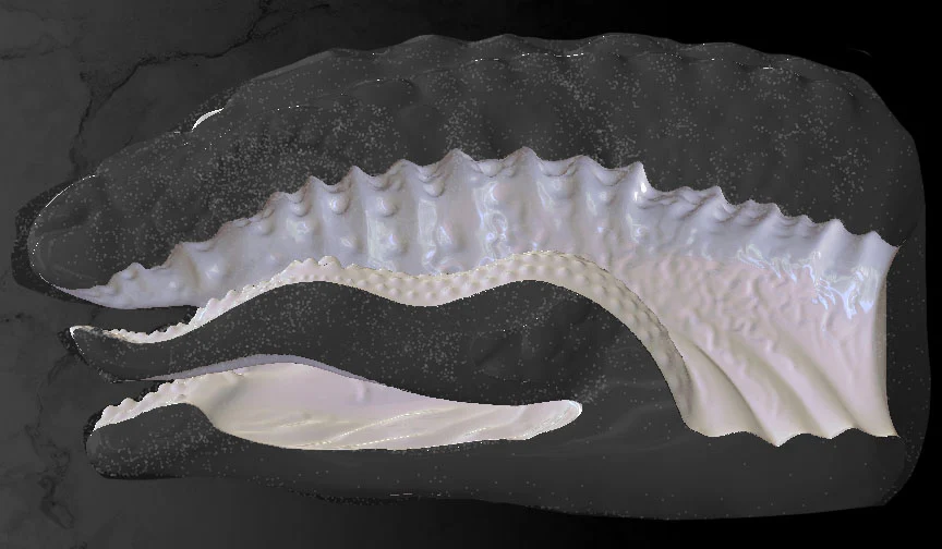 JORMUNGANDR - Image 4