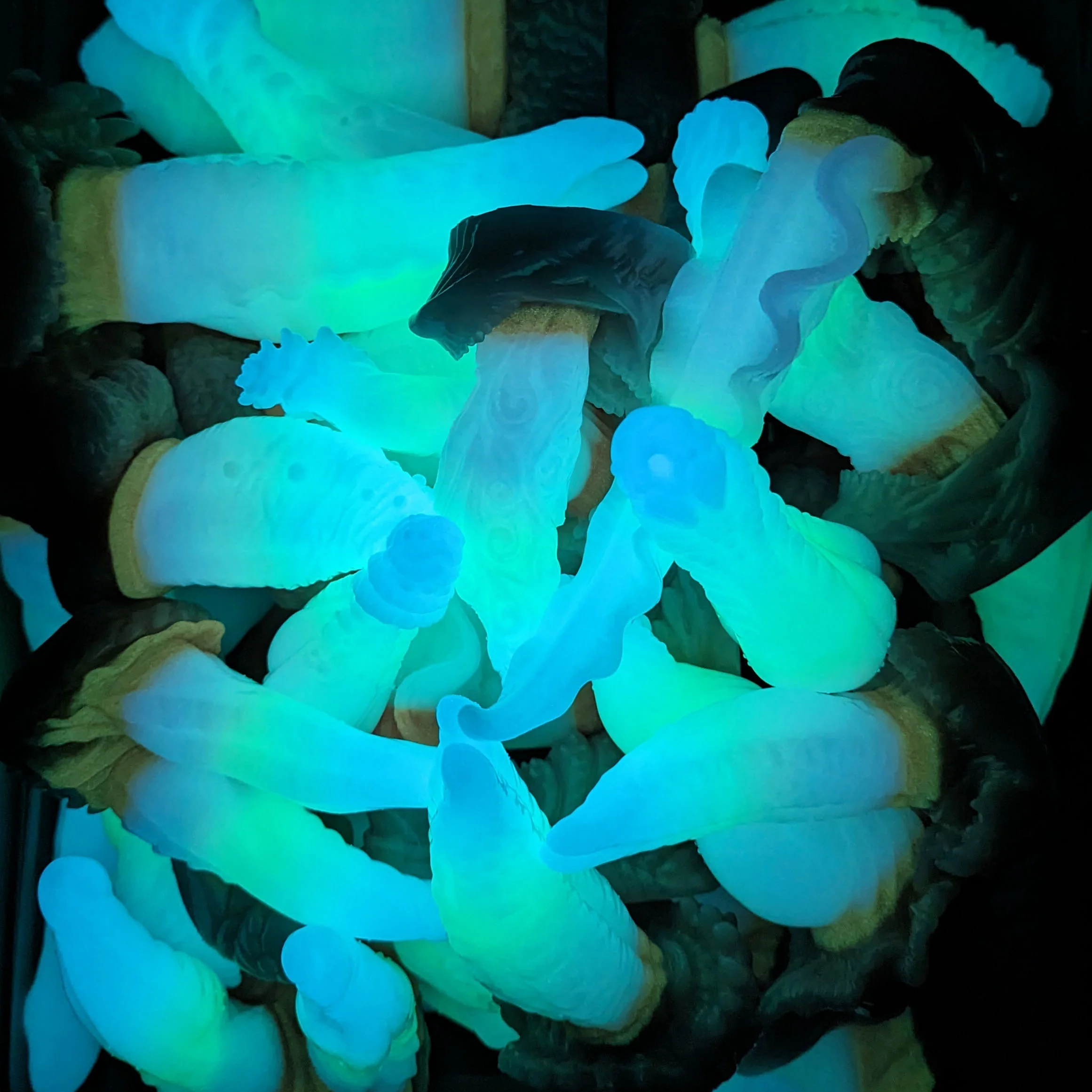 LK-3R L-3610 ~ Large Size ~ Split - Image 3