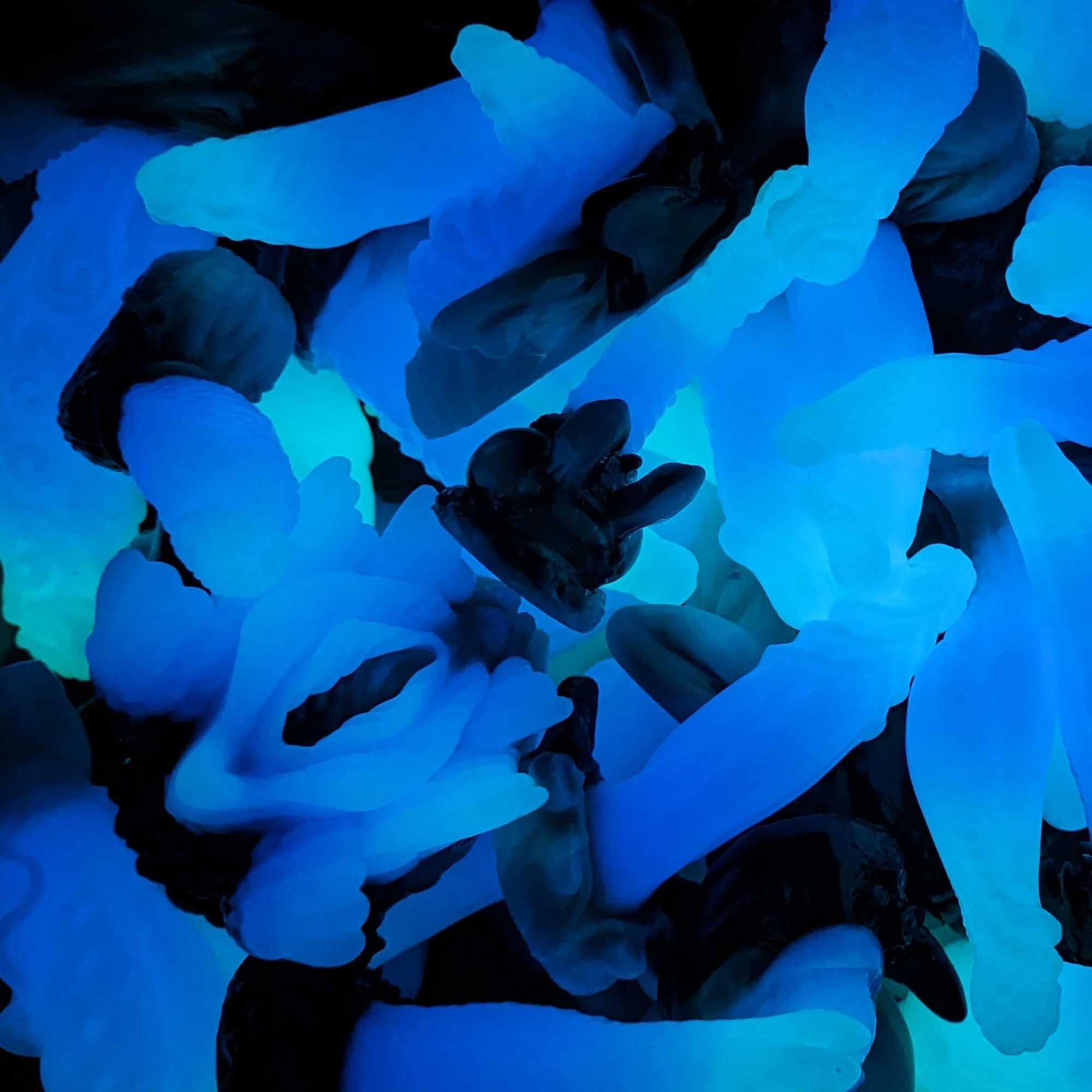 LK-3R L-3722 ~ Large Size ~ Soft - Image 3