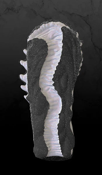 NAAMAH (Legacy) - Image 5