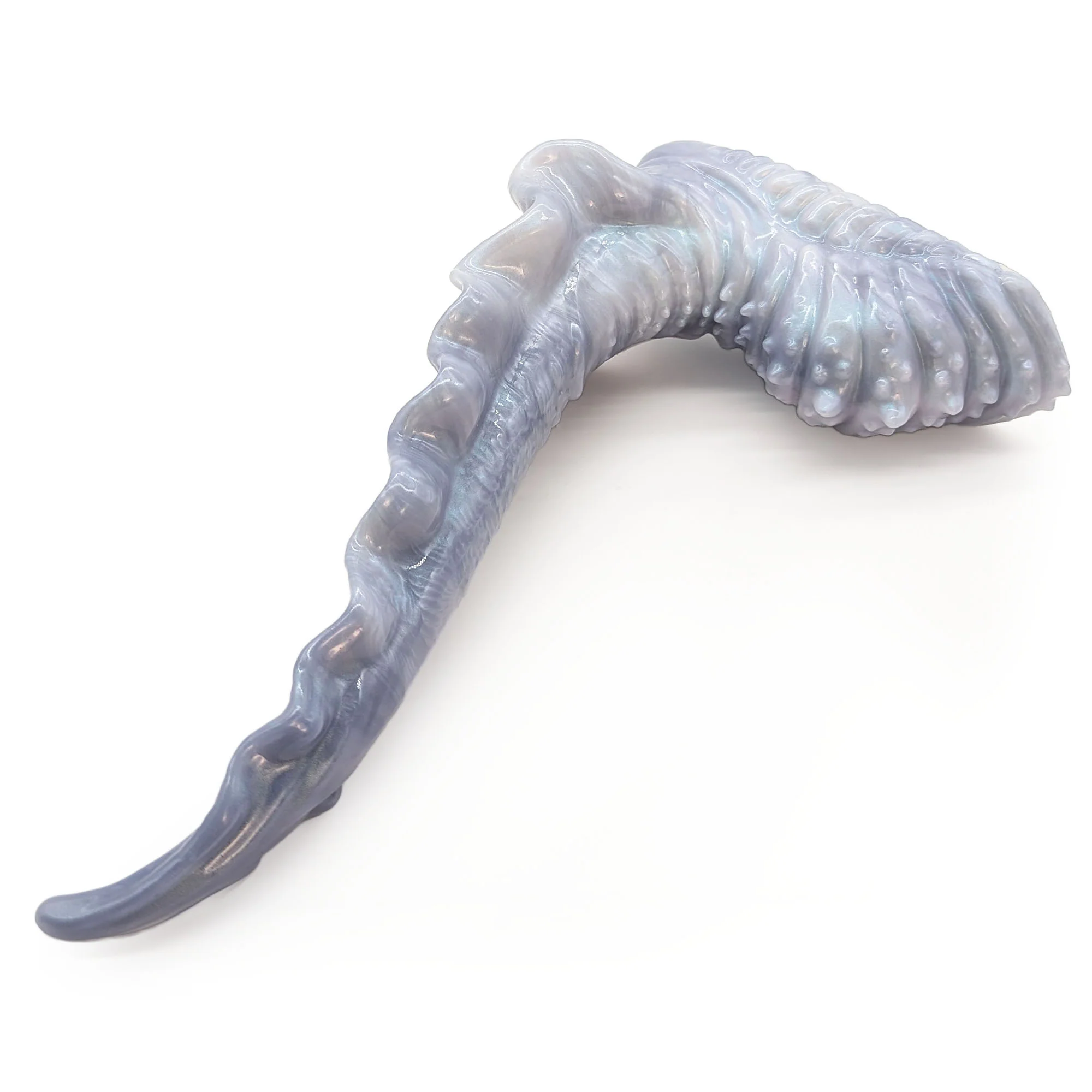 Scylla L-5519~ Large Size ~ Medium - Image 2
