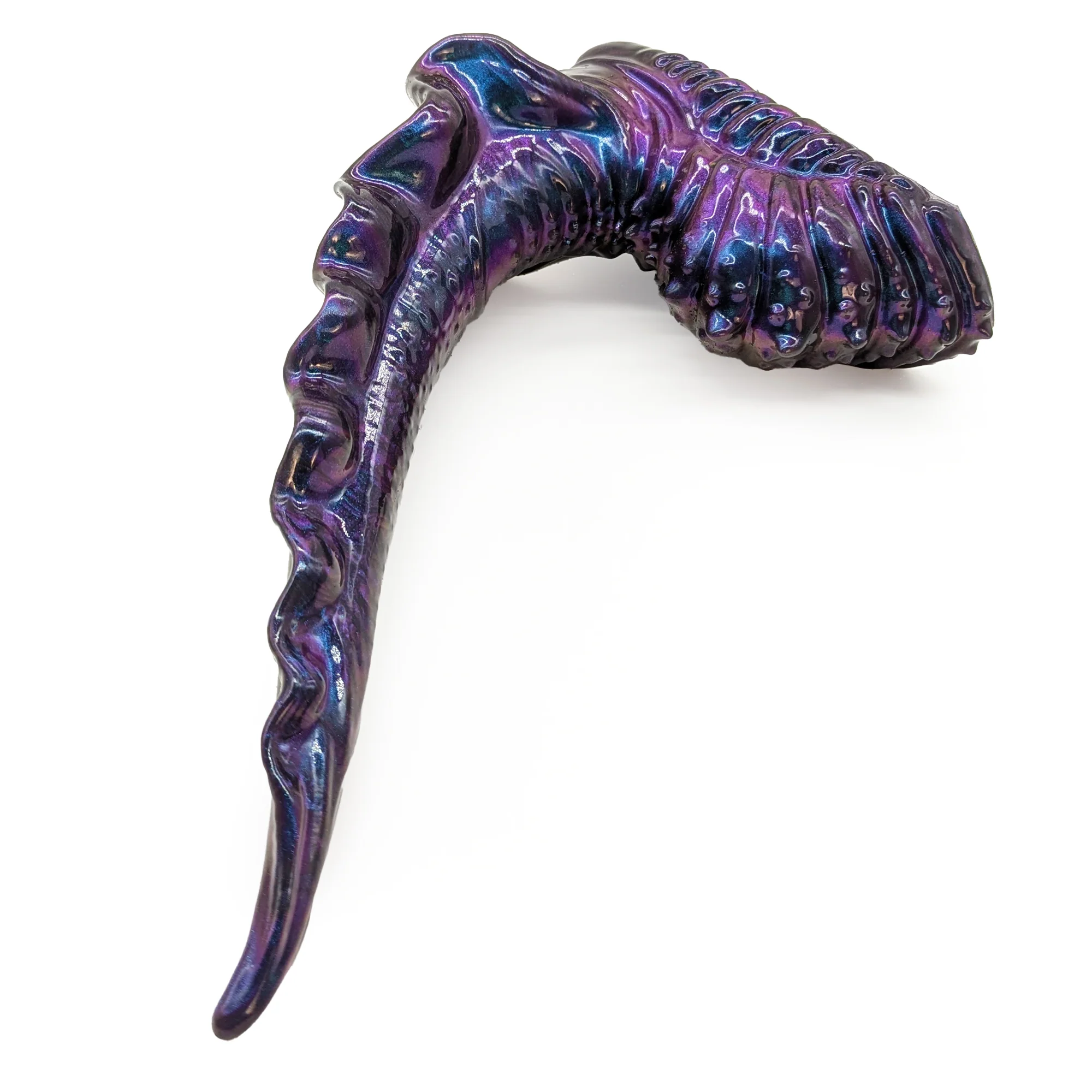 Scylla M-31109 ~ Medium Size ~ Soft+ - Image 2