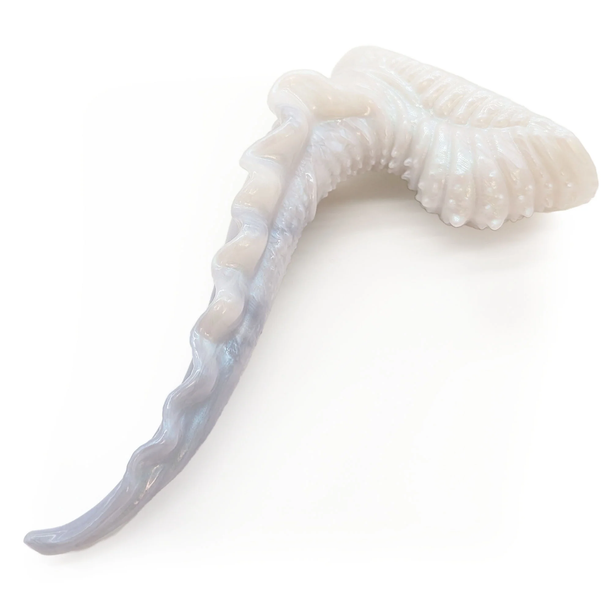 Scylla M-5519 ~ Medium Size ~ Medium - Image 2