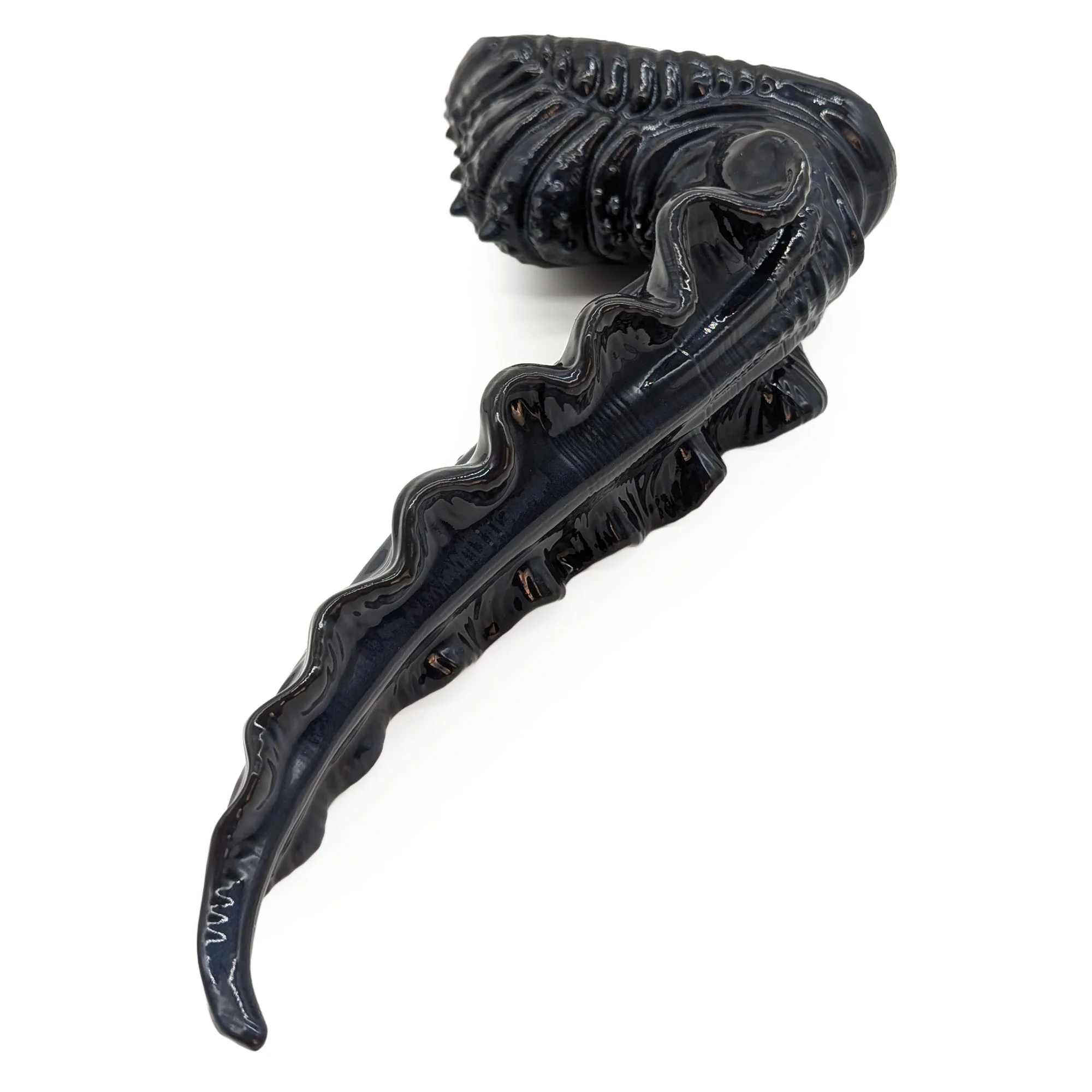 Scylla M-51113 ~ Medium Size ~ Medium