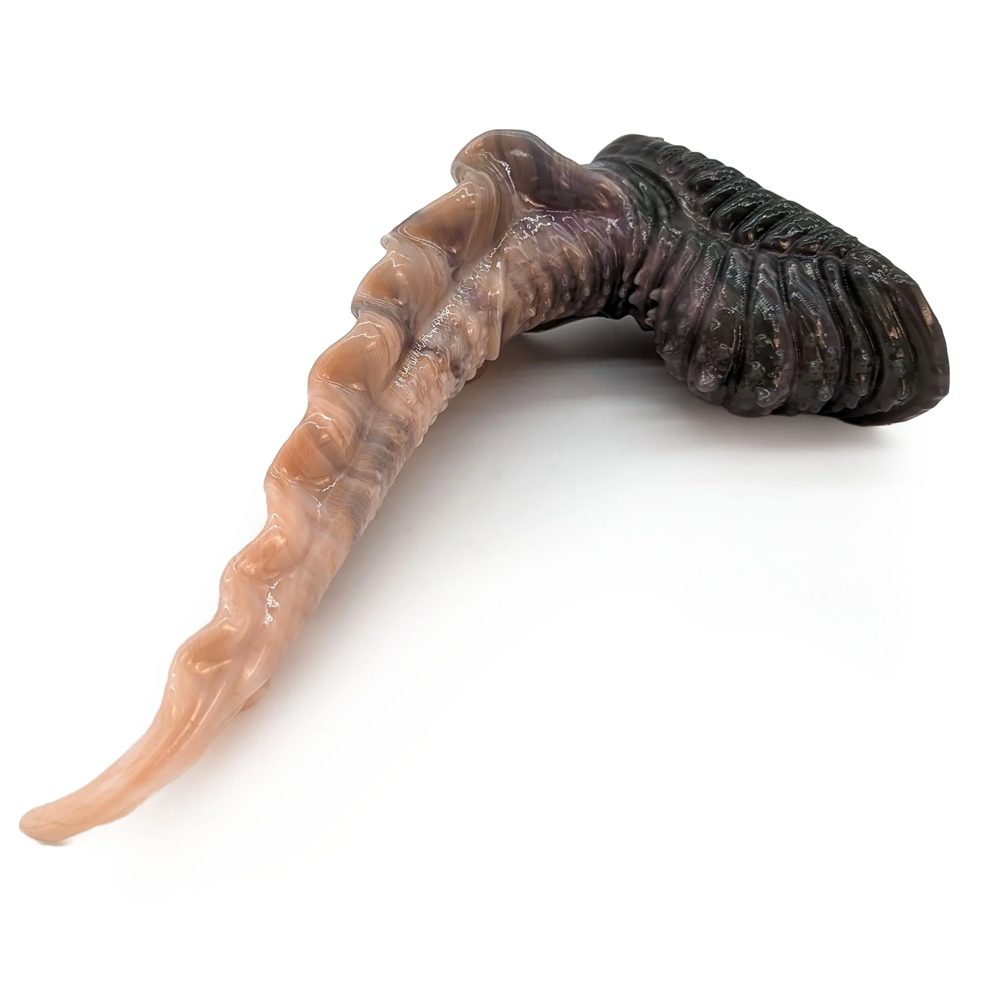 Scylla M-3614 ~ Medium Size ~ Soft - Image 2