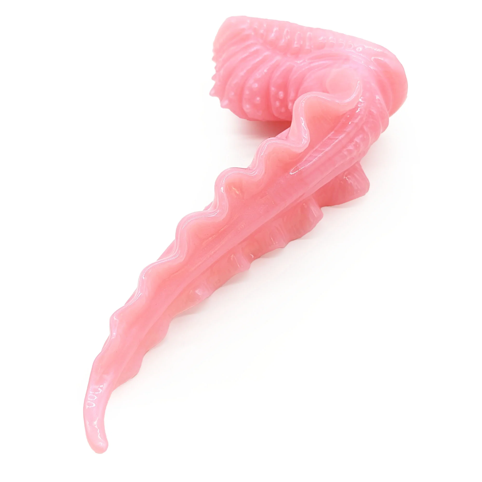 Scylla S-5524 ~ Small Size ~ Medium