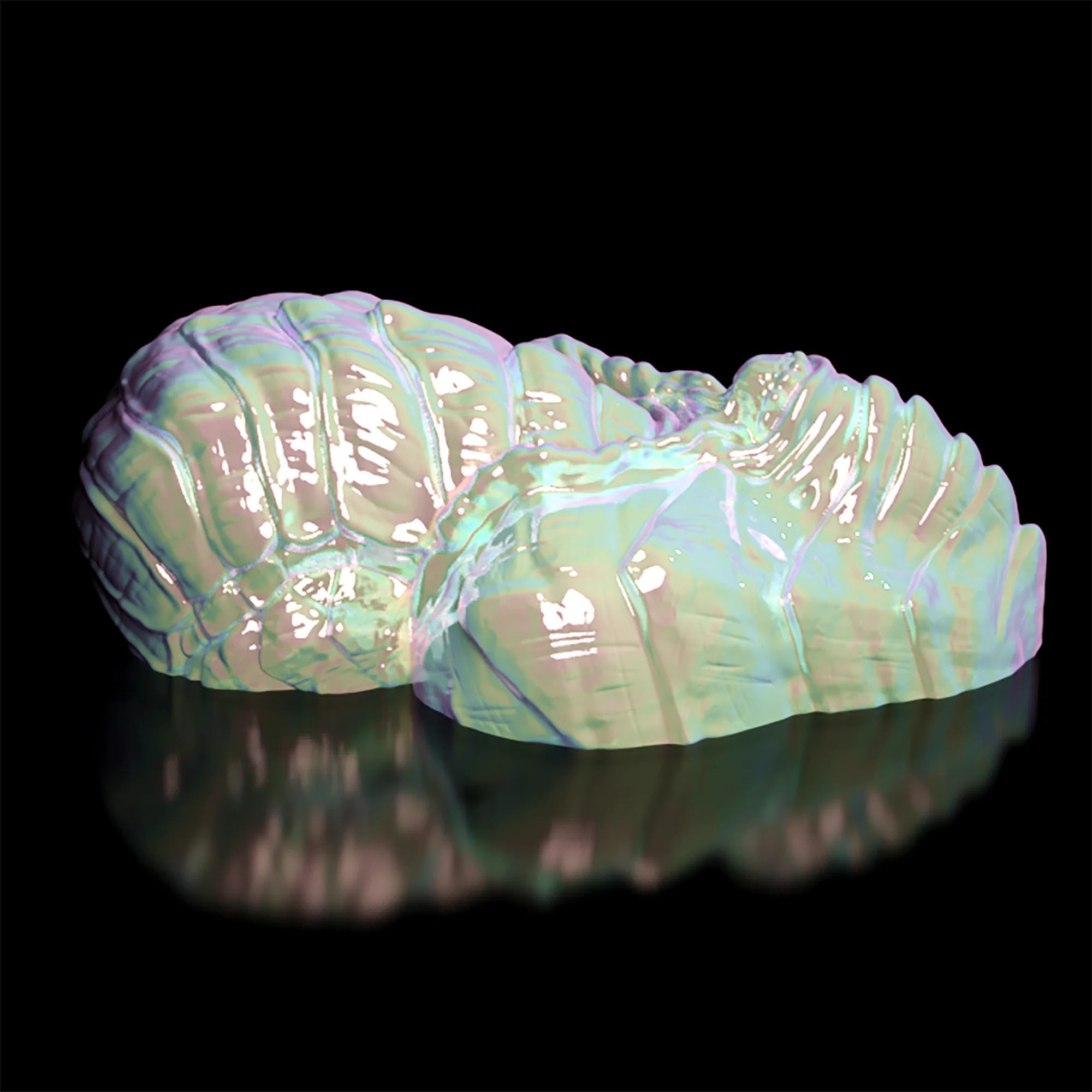 TSUNA (Grinder) - Image 5
